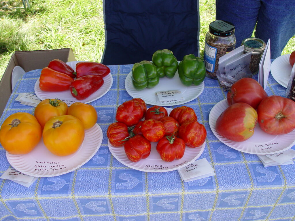 heirloom tomatoes