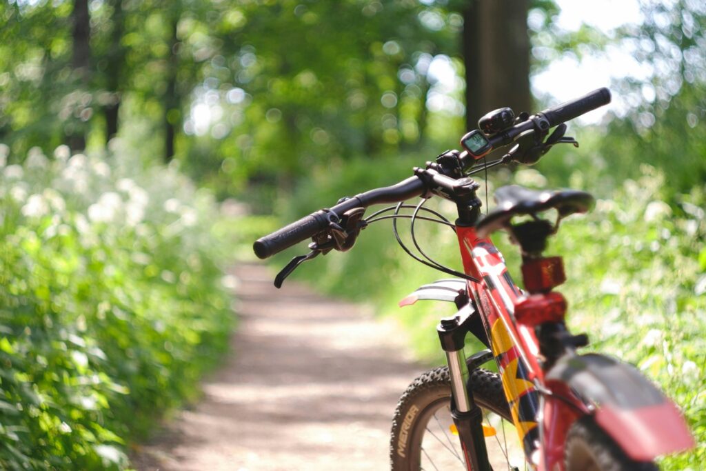 a bike parked on a dirt path in the woods