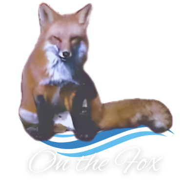 On the Fox logo